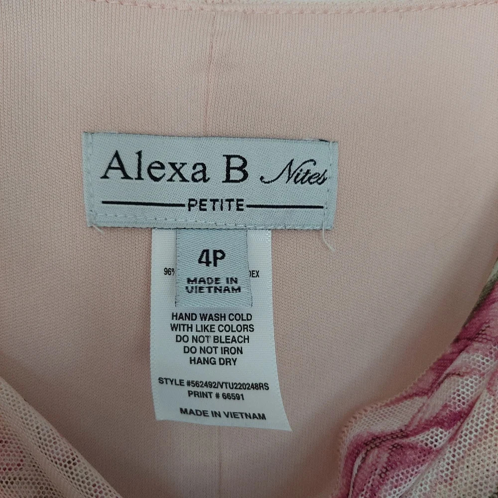 ALEXA B Nites Sheer Lined Pink Floral Maxi Dress Size‎ 4P - Picture 3 of 9